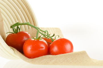Tomatoes on the vine with basket and sackcloth on white