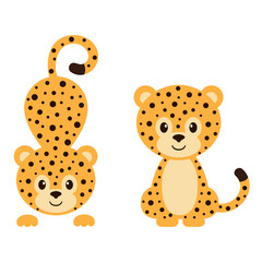 leopard vector set