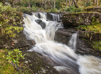 Fototapeta premium Waterfalls in Woods at Inversnaid