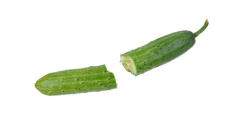 Green cucumber on a white underground.