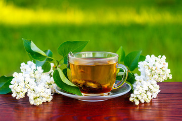 healing tea from a lilac flower in the garden