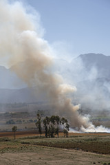 Burning off old crops from farmland in the Western Cape South Africa