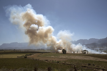 Burning off old crops from farmland in the Western Cape South Africa