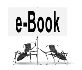 ebook or online digital book