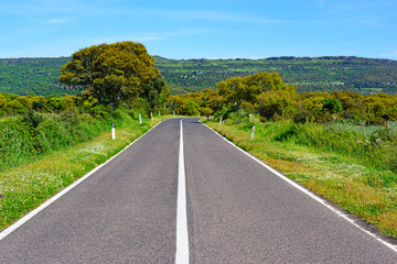 country road on a clear day