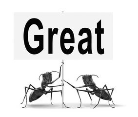 great opportunity