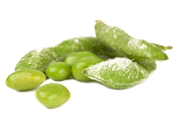 green soybeans
