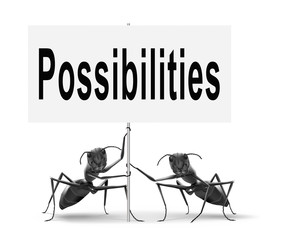 possibilities and opportunities