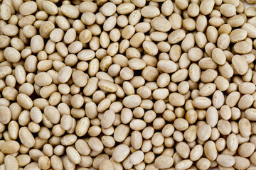 white beans in abundance