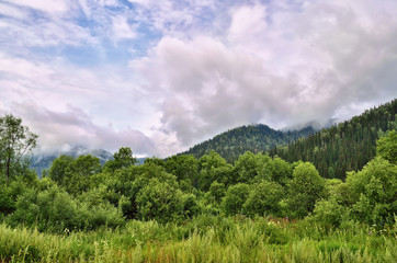 Summer landscape in the mountains with beautiful low clouds