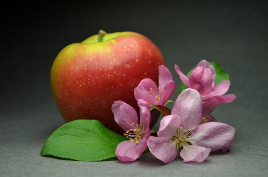 apple with flowers composition still life