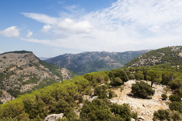 Fototapeta na wymiar Paesaggio montano della Sardegna.