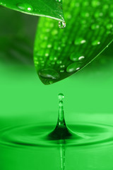  water drop