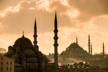 Fototapeta na wymiar mosque in Istanbul