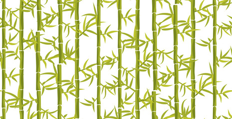 Bamboo seamless vertical pattern. Asian japan forest background on white.