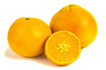 citrus
