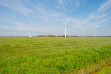 Wind turbines in a meadow in spring