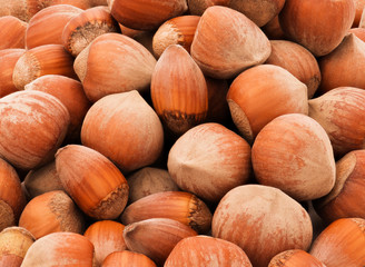 Natural background made of different kind of nuts. Photo taken from above, top view. Low angle image.