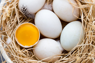 Duck eggs nest, spring Easter symbol.