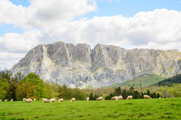 aire libre en la montaña