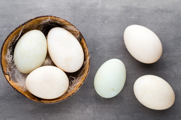  Duck eggs on a cage gray background.