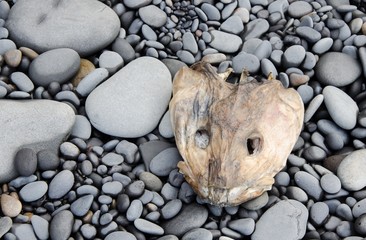 Fischskelett