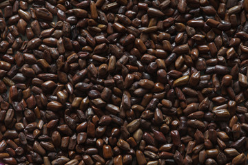 cassia tora beans, cassia tora, chinese coffee beans, coffee beans, coffee background, coffee...