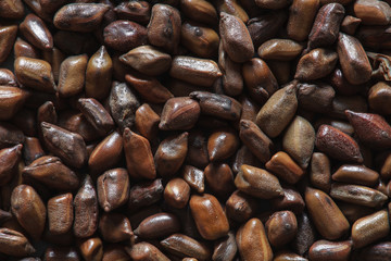 cassia tora beans, cassia tora, chinese coffee beans, coffee beans, coffee background, coffee beans, asian coffee, chinese beans, chinese beans