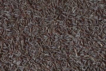cumin photo, cumin background, grins of cumin, cumin seeds, pile cumin, dry cumin, indian cumin, asian cumin, spice cumin