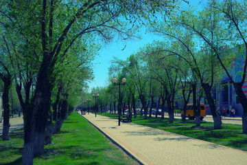 Park paved path, benches, street lamps in spring day