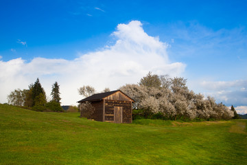 Old wooden barn on a meadow