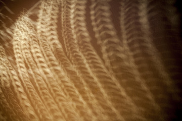 abstract background texture