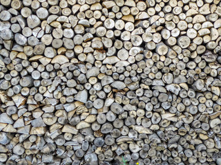 Brennholz