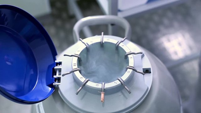 Embryo Cryopreservation InVitro