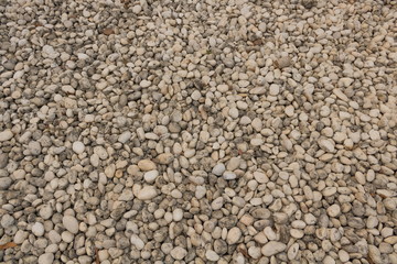 abstract background with dry round reeble stones