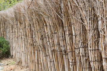 Wall with Bundle of sticks