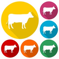 Cow silhouette icons set with long shadow