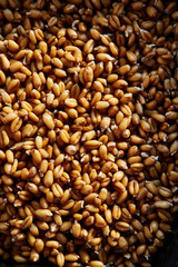 Whole wheat sprouts
