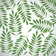 Tropical leaves design. leaf icon. natural concept, vector illustration