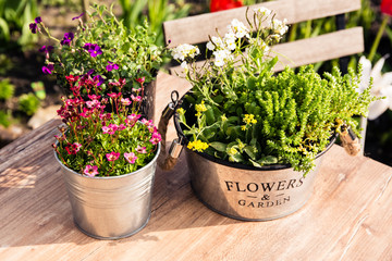 Viele Blumentöpfe stehen auf dem Gartentisch