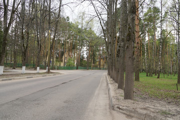 street