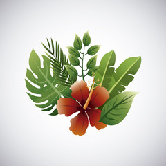 Fototapeta na wymiar Tropical flower design. floral icon. natural concept, vector illustration
