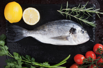 Raw Sparus Aurata fish