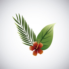 Tropical flower design. floral icon. natural concept, vector illustration