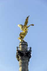 Independence Angel