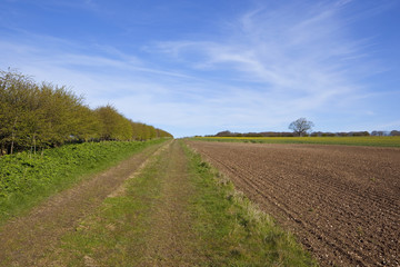 yorkshire wolds farm track in springtime