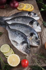 Raw gilt-head bream fish