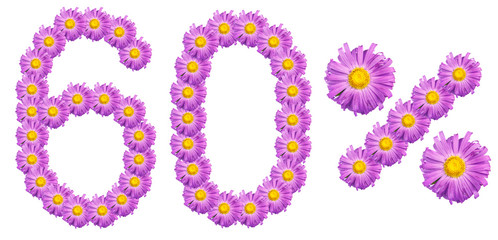 figures 60% of the letters written by purple flowers