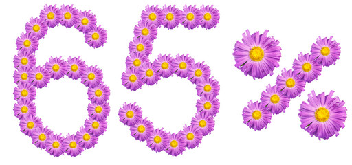 figures 65% of the letters written by purple flowers