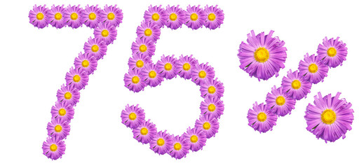 figures 75% of the letters written by purple flowers